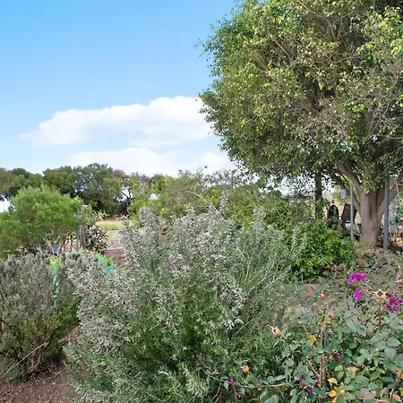 Casa Inti Lägenhet Granadilla De Abona