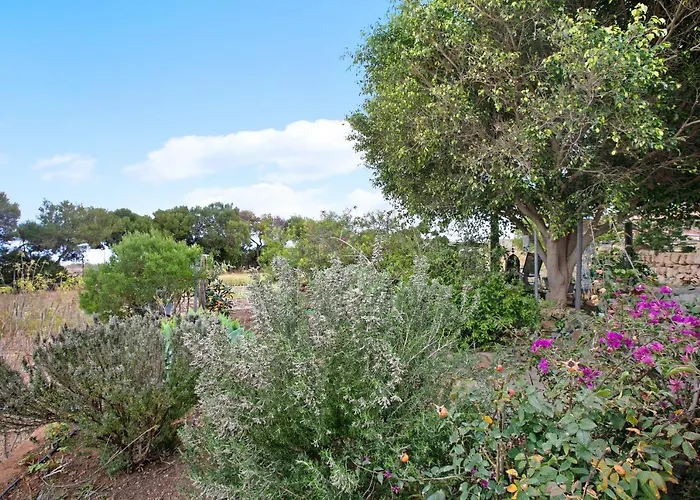 Casa Inti Lägenhet Granadilla De Abona